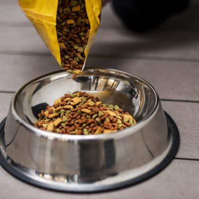 Ração sendo colocada em pote, representando Nutrição no tratamento de câncer em pets.