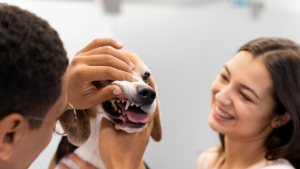 Moça levando seu filhote ao dentista veterinário